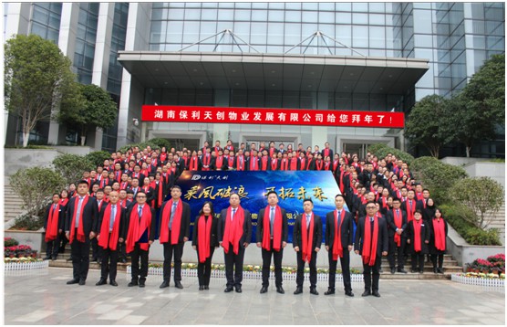 湖南保安服務,墻外高空清洗服務,湖南保利天創物業發展有限公司