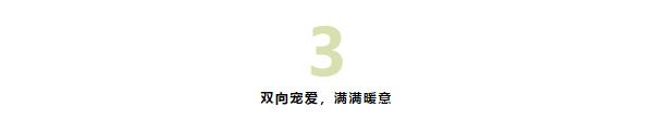 湖南保安服務,墻外高空清洗服務,湖南保利天創物業發展有限公司