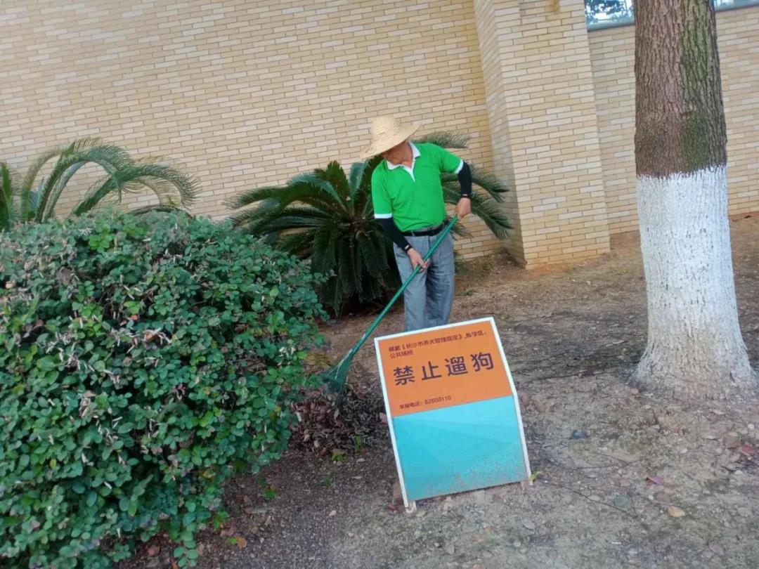 湖南保安服務(wù),墻外高空清洗服務(wù),湖南保利天創(chuàng)物業(yè)發(fā)展有限公司