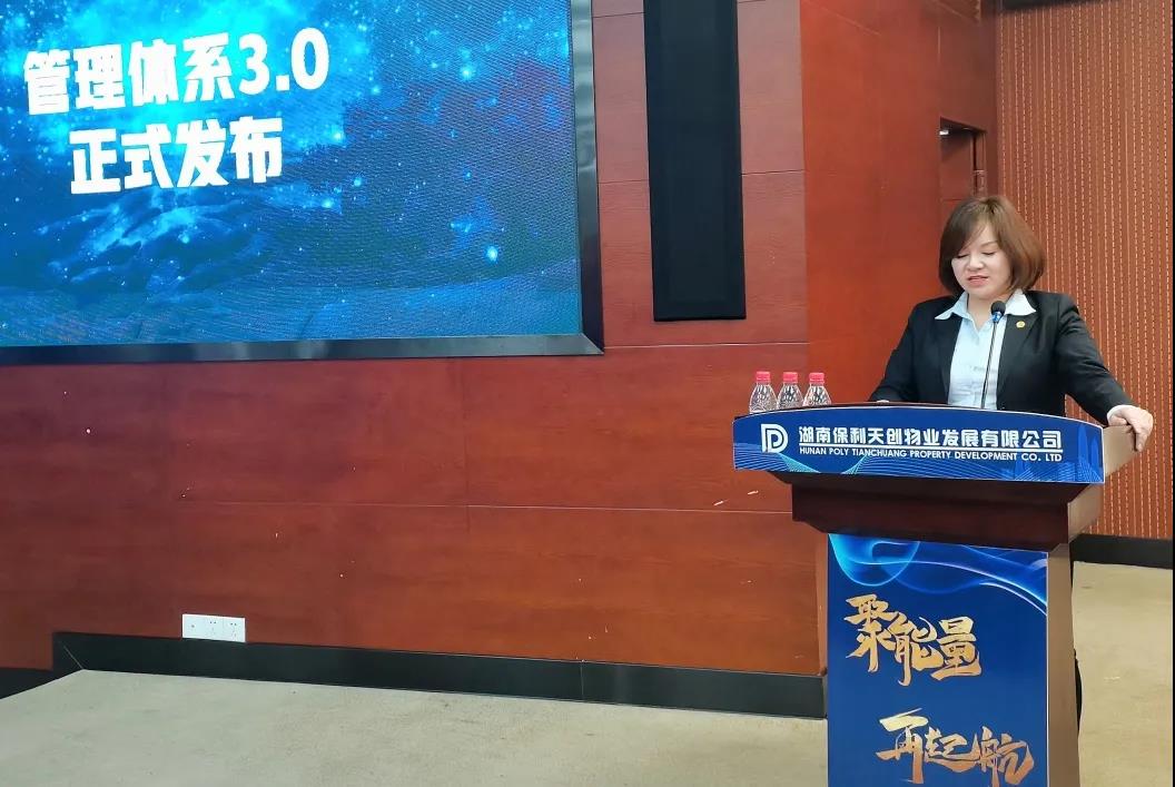 湖南保安服務,墻外高空清洗服務,湖南保利天創物業發展有限公司