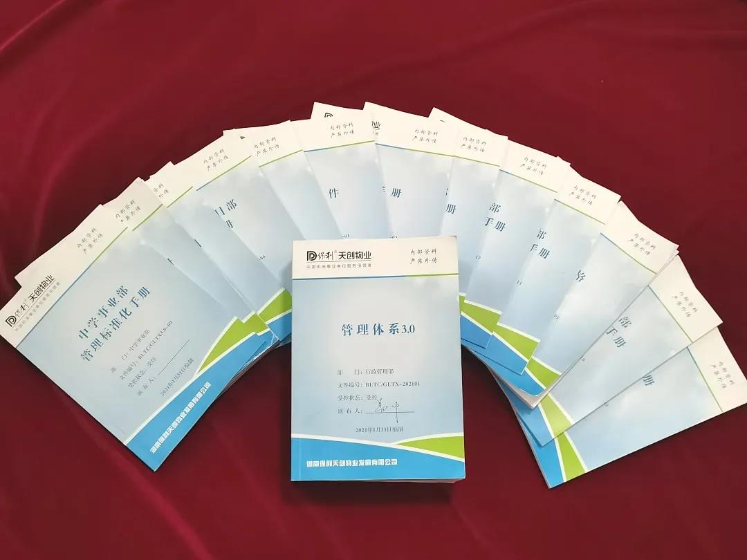 湖南保安服務,墻外高空清洗服務,湖南保利天創物業發展有限公司