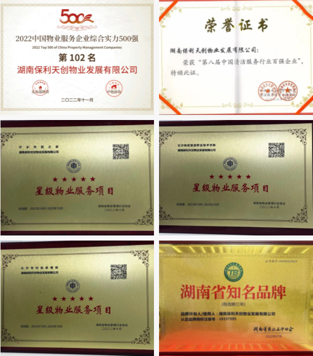 湖南保安服務,墻外高空清洗服務,湖南保利天創物業發展有限公司